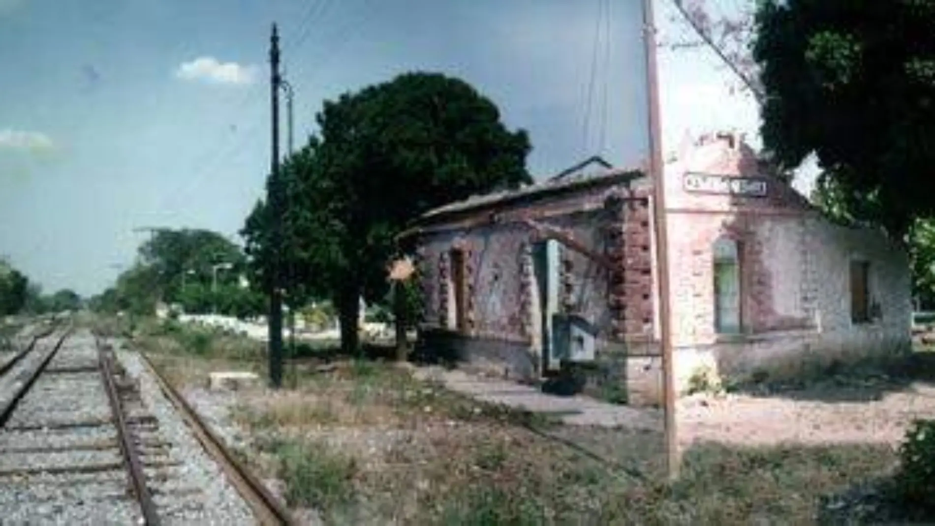 Estación Carrizal